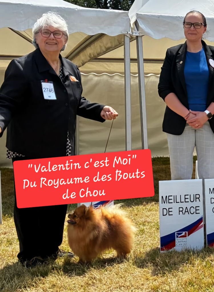 Superbes Bébés Mâles issus du